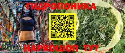 гашик Шахты