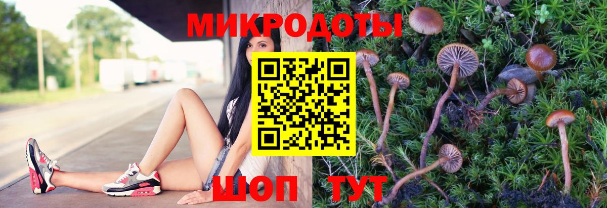 Тула  Псилоцибиновые грибы Psilocybe  Вход с VPN 