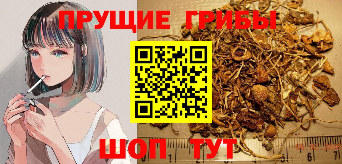 Галлюциногенные грибы Cubensis Тула